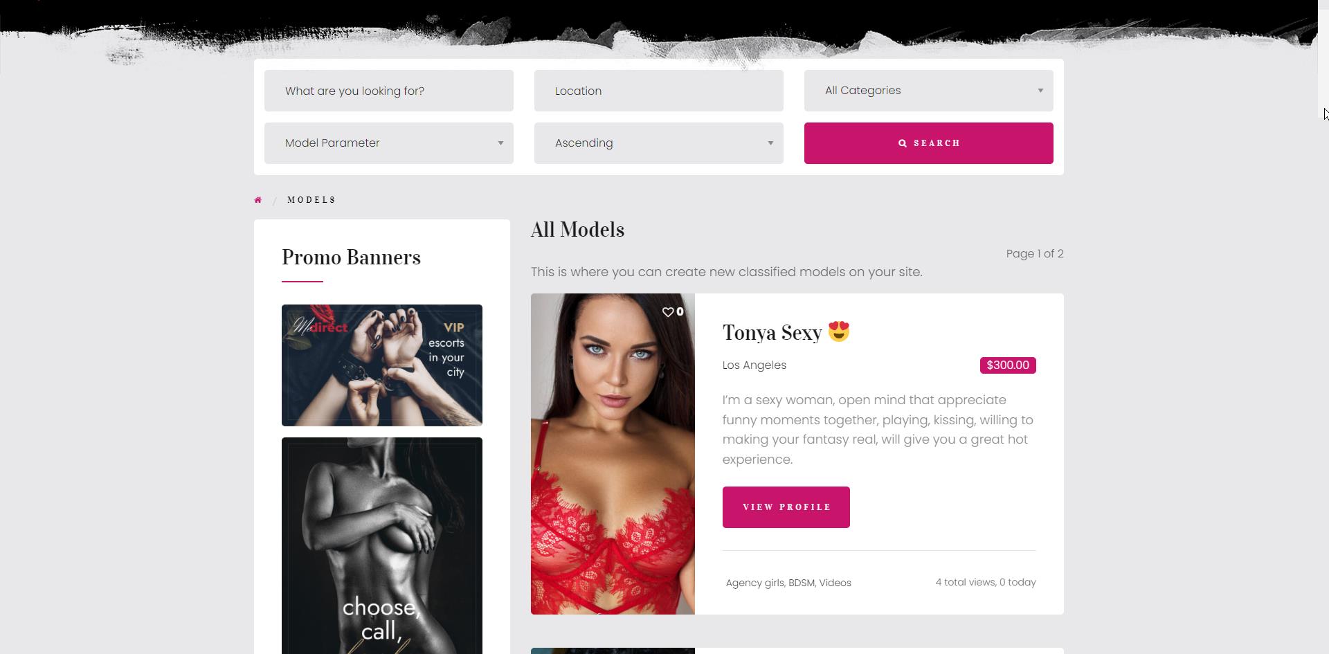 FunDirectory - Escort Agency WordPress Theme - Image 6